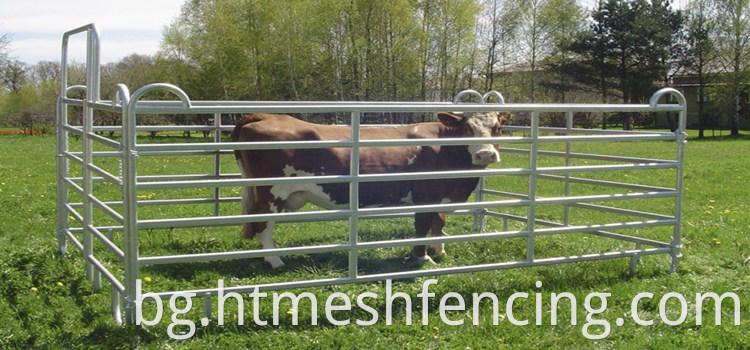Поцинковани добитък ограда за ограда за ограда за ограда за конски конски панел